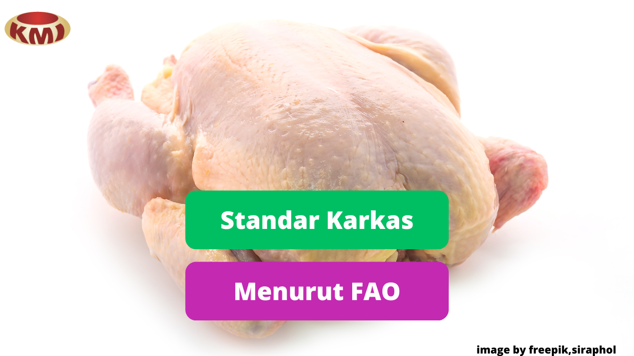 Standar Kualitas Karkas Ayam Broiler Sesuai FAO